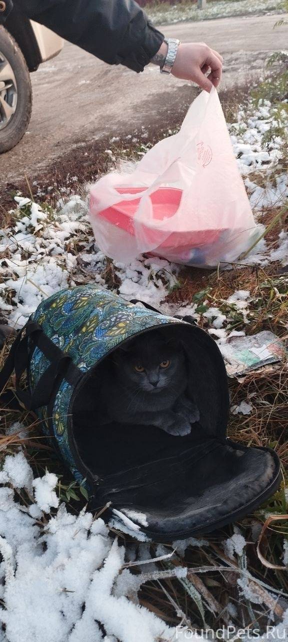 Сегодня сотрудниками полиции, ...