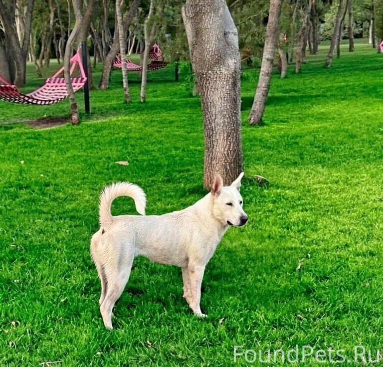 Геленджик ♥️♥️♥️♥️♥️♥️♥️♥️♥️♥️...