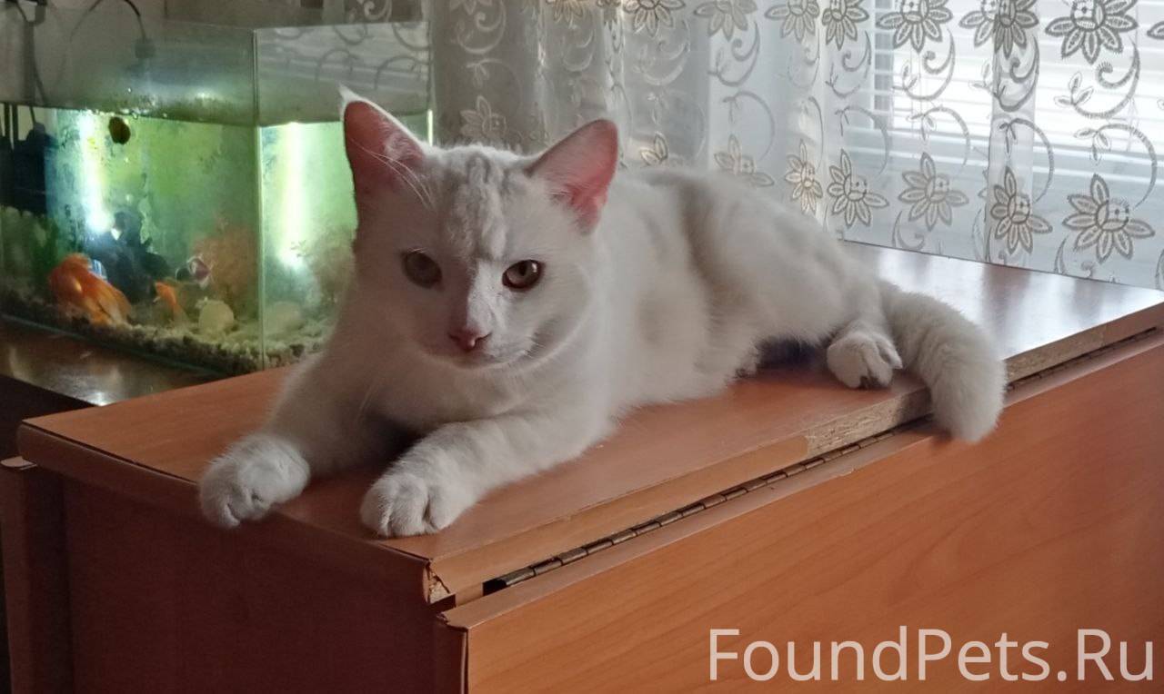 Админ, размести пожалуйста. Пр...