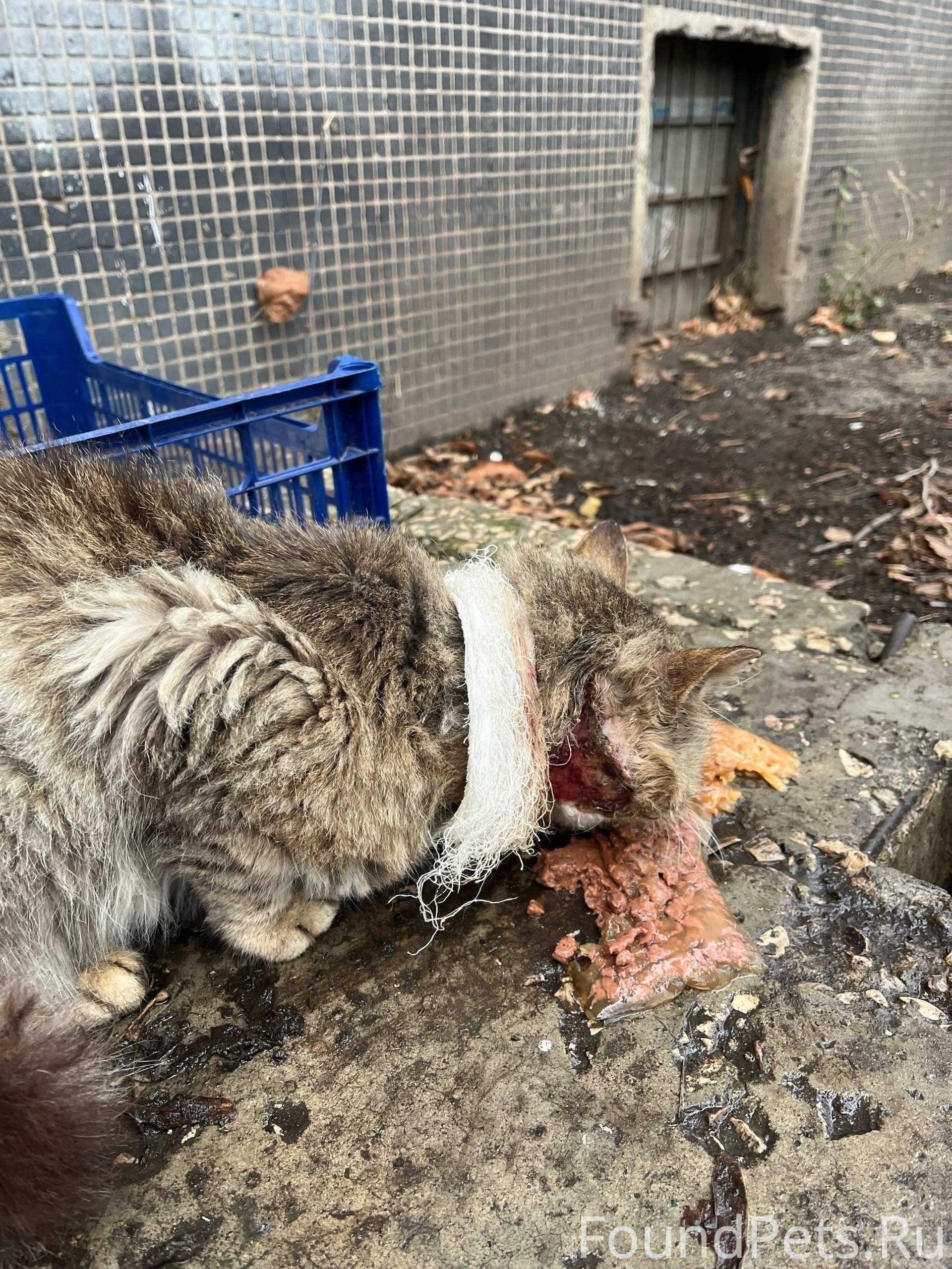 Тольятти !!!! Помогаю информац...