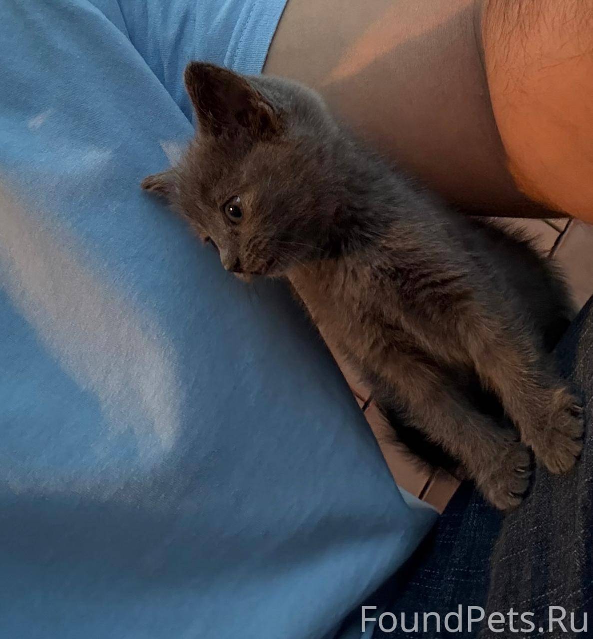 Добрый день! Пожалуйста, помог...