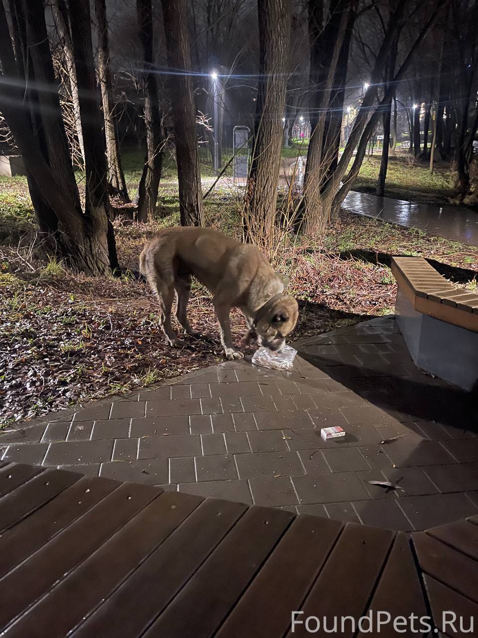 Алабай мальчик озеро средний кабан