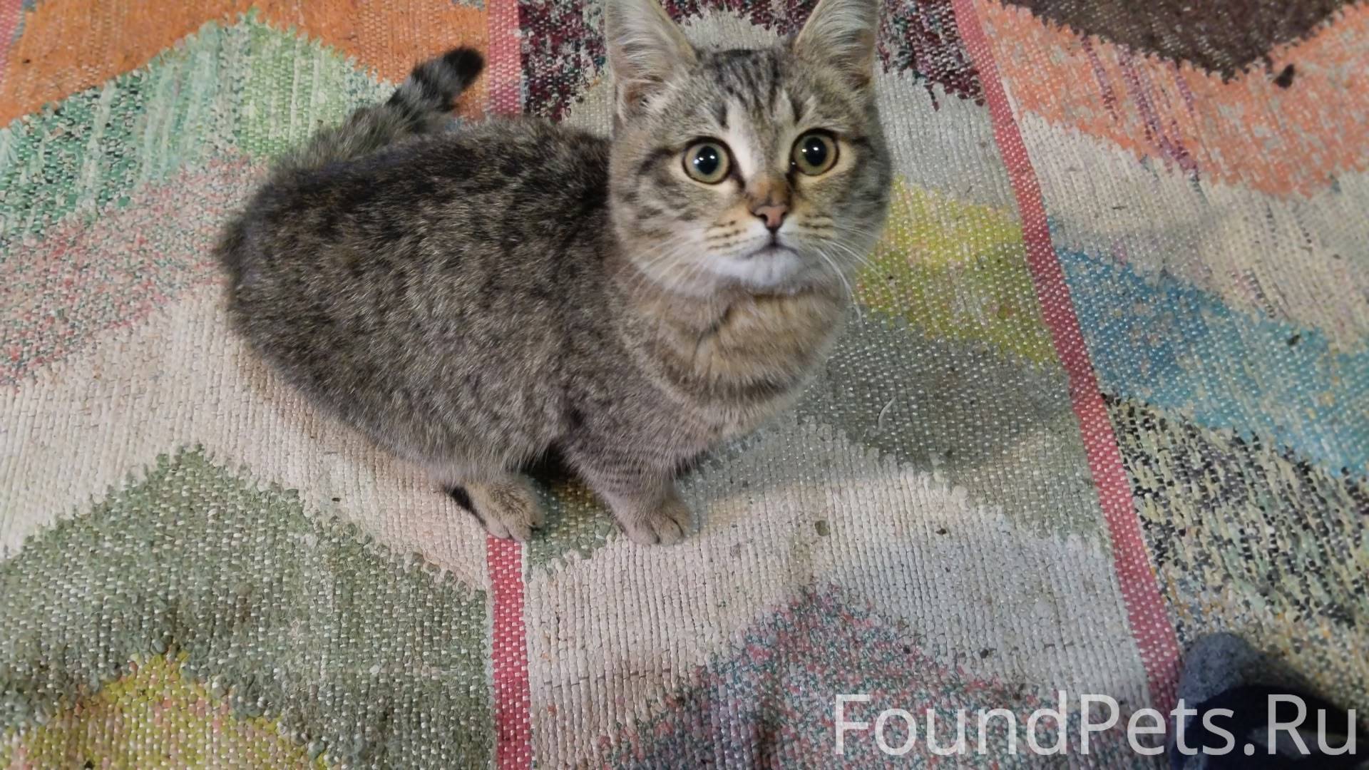 #БгдПомоги #Богданович ВНИМАНИ...