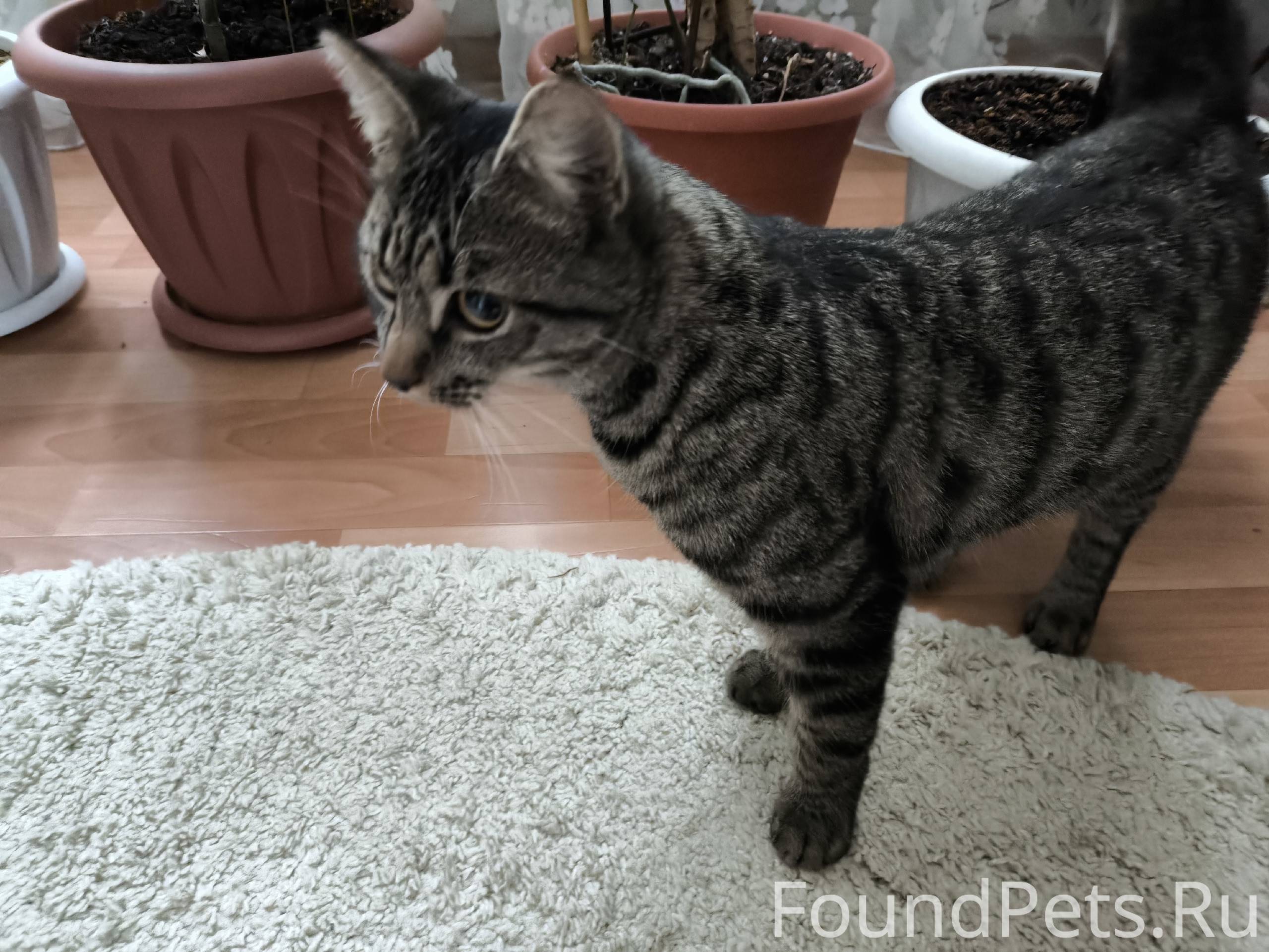 Во втором подъезде Ладожская 2...