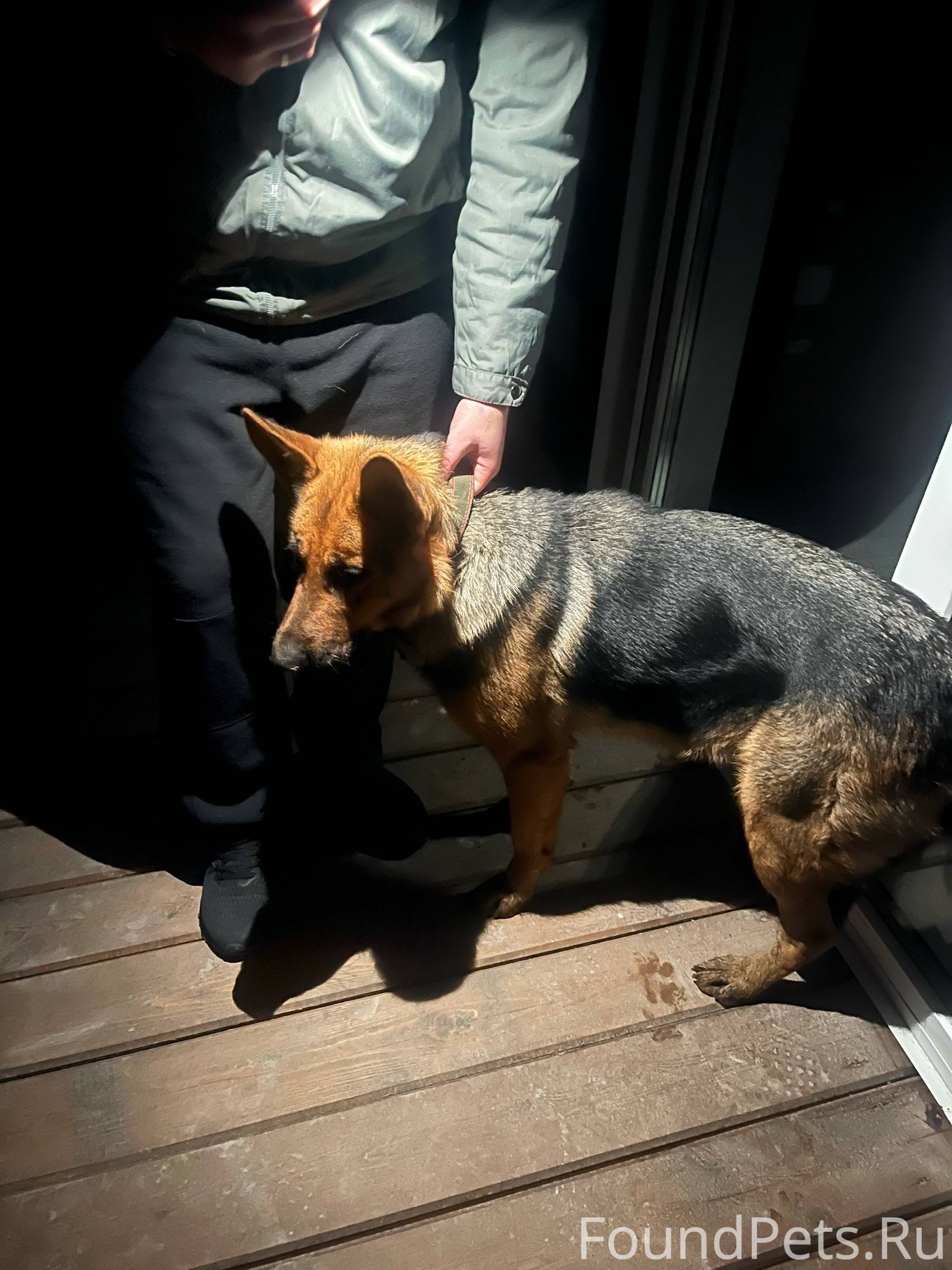 Бакудегі массаж және секс