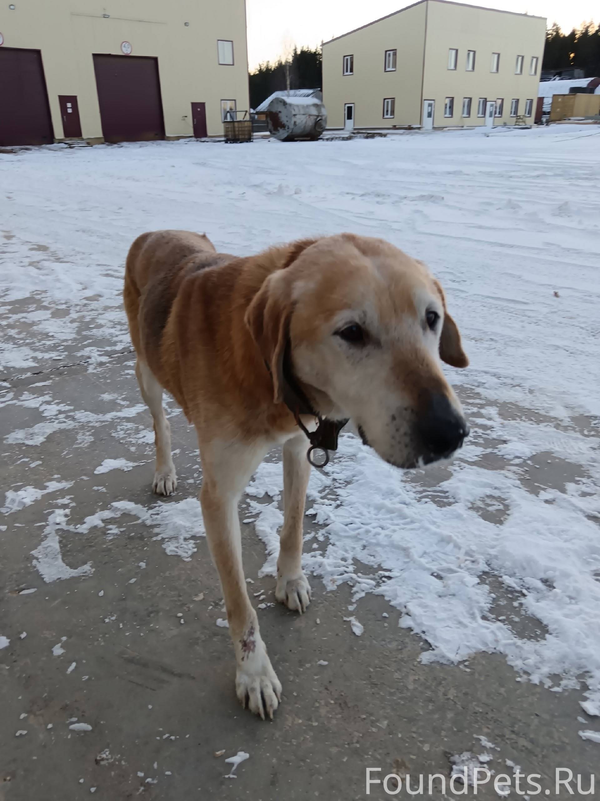 ‼️‼️‼️‼️‼️ВАЖНО‼️‼️‼️‼️‼️ Сего...