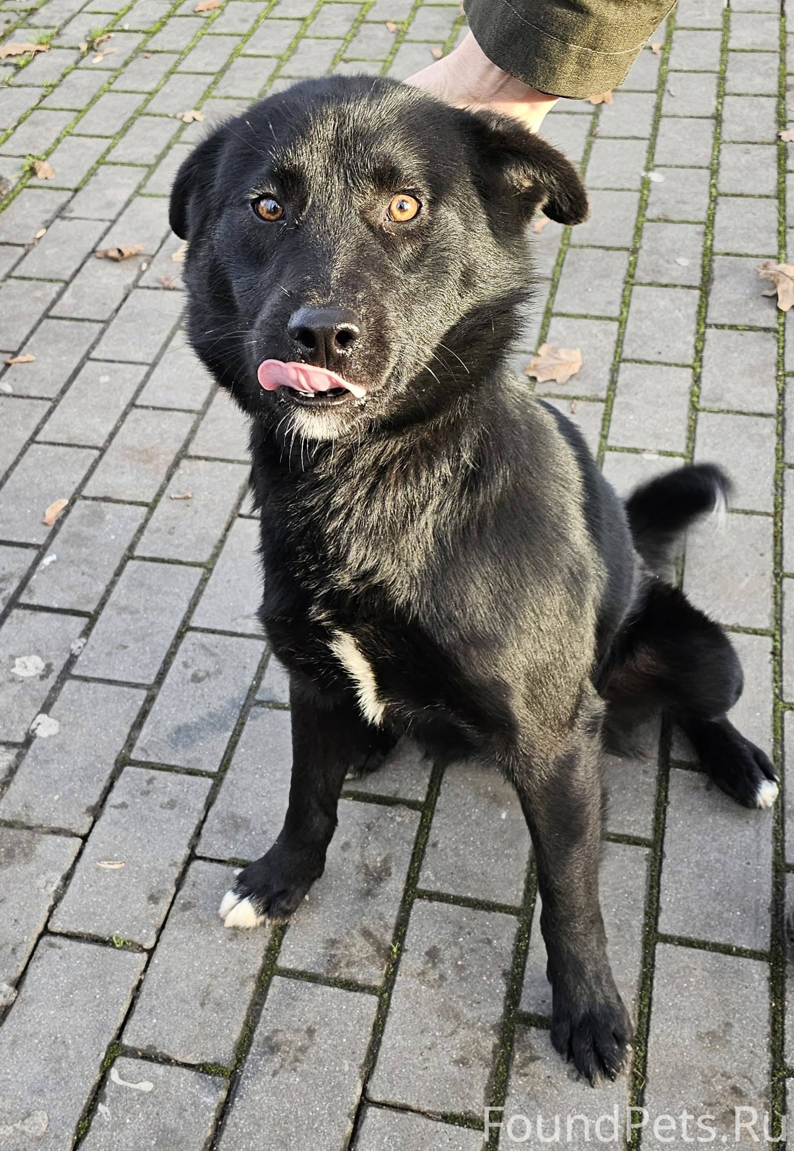 Здравствуйте! У кого отвязалас...