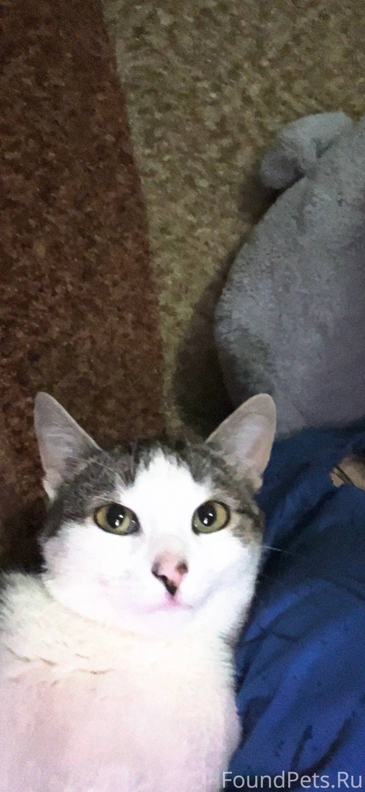 Здравствуйте.Пожалуйста выложи...