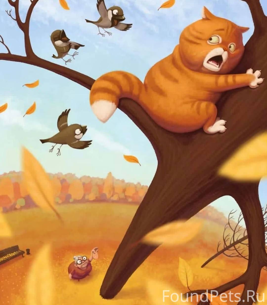 Утро у нормальных людей начина...