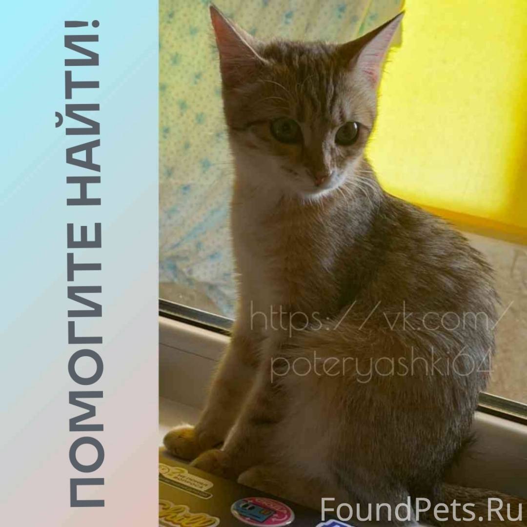 Саратов, Волжский район, Сокол...