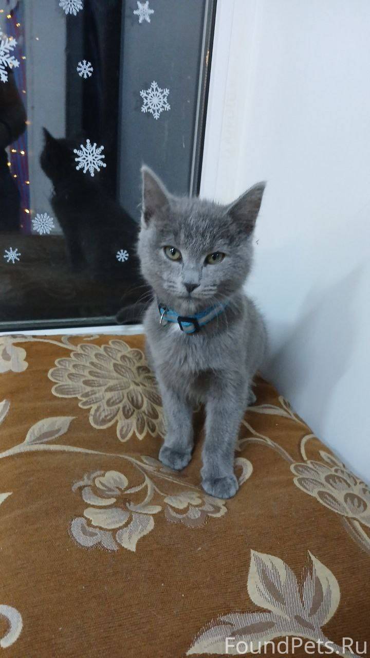 Всем доброго времени суток! Пр...