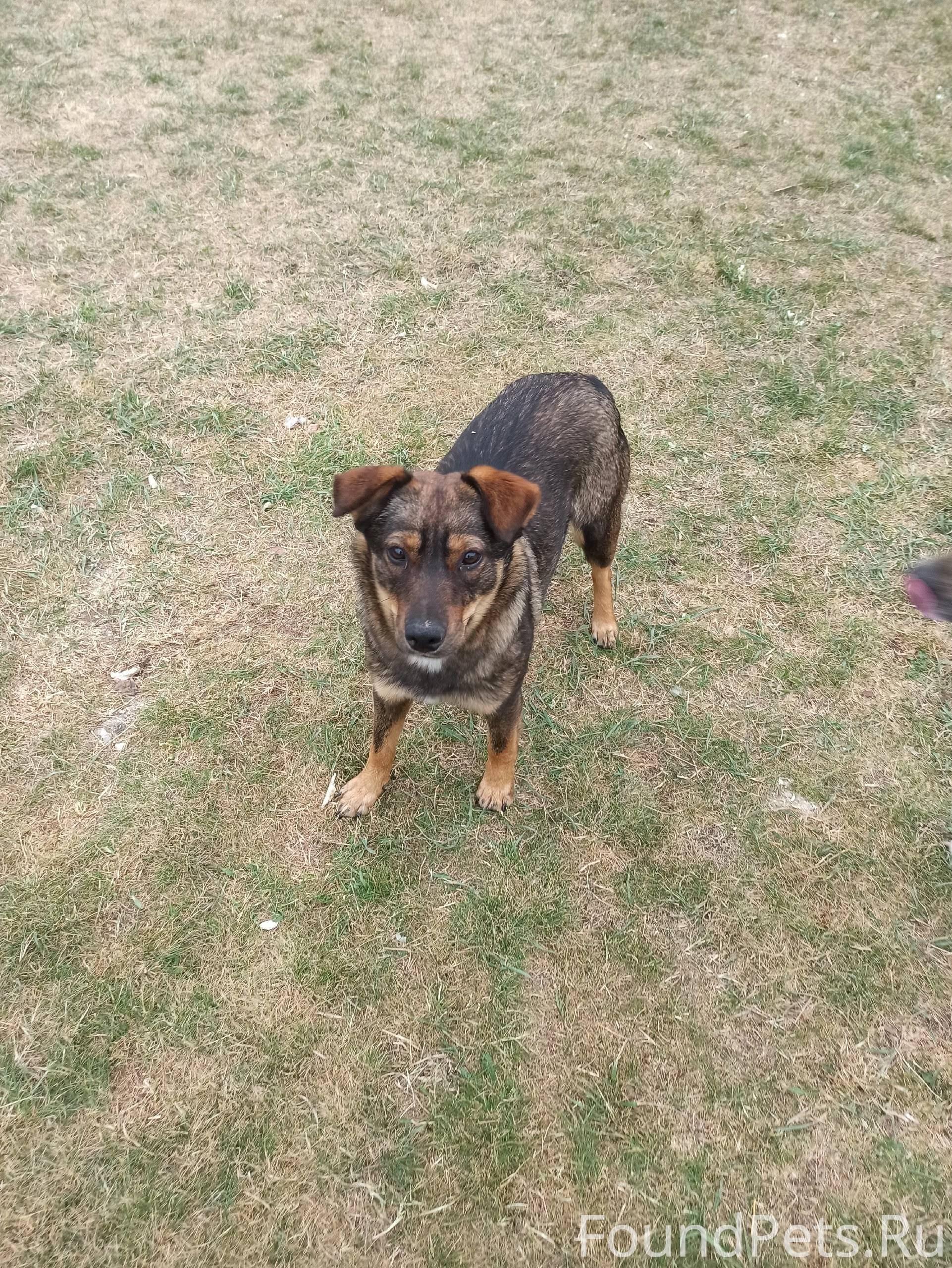 ПОМОГИТЕ НАЙТИ ЖУЛЮ!!! район М...