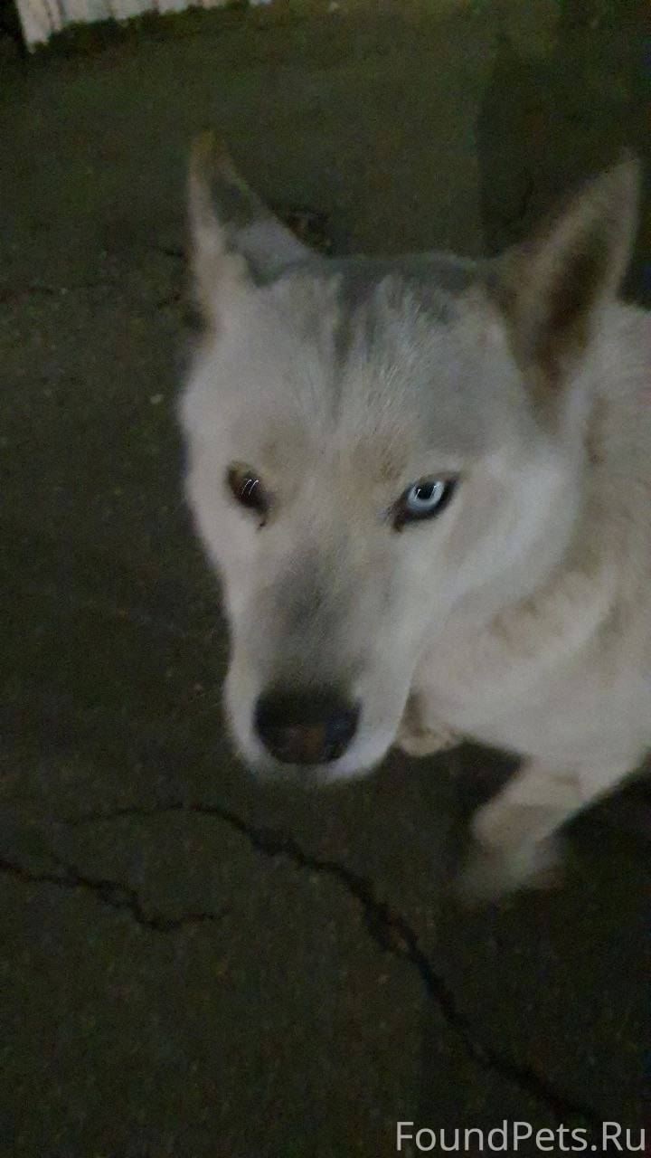 ❗❗❗❗⭕⭕⭕⭕⭕⭕⭕⭕⭕❗❗❗ 🔴Внимание !!!...