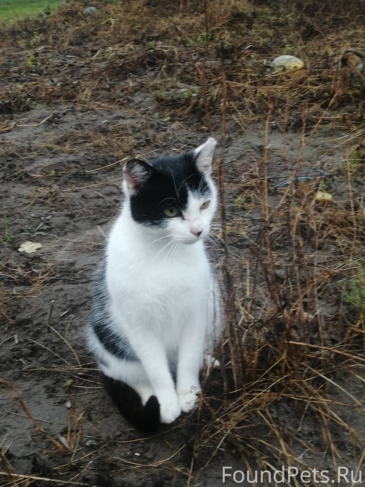 🆘 Лунинец, Минск, вся Беларусь...