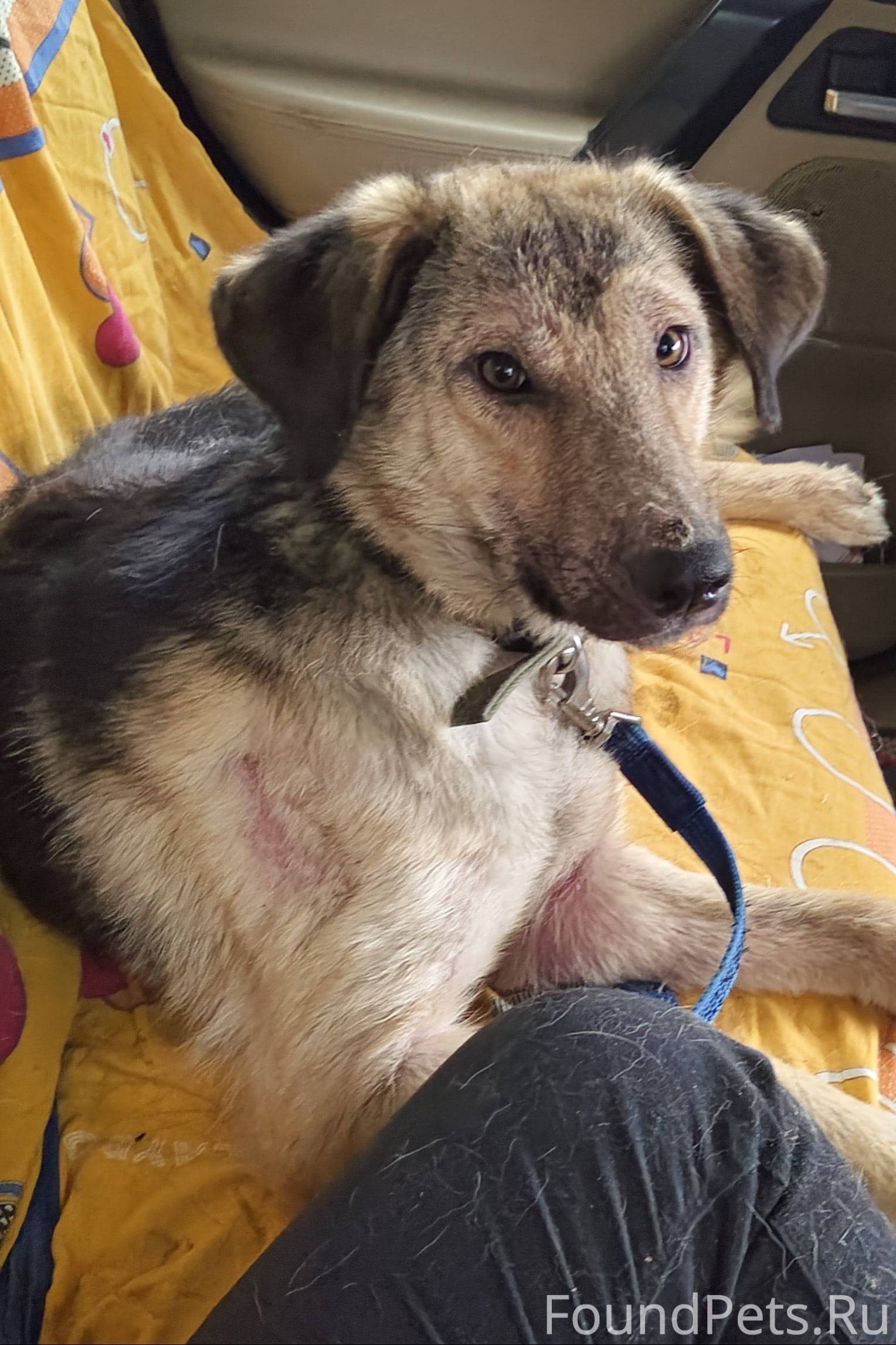 В Луховицах, в подъезде найден...