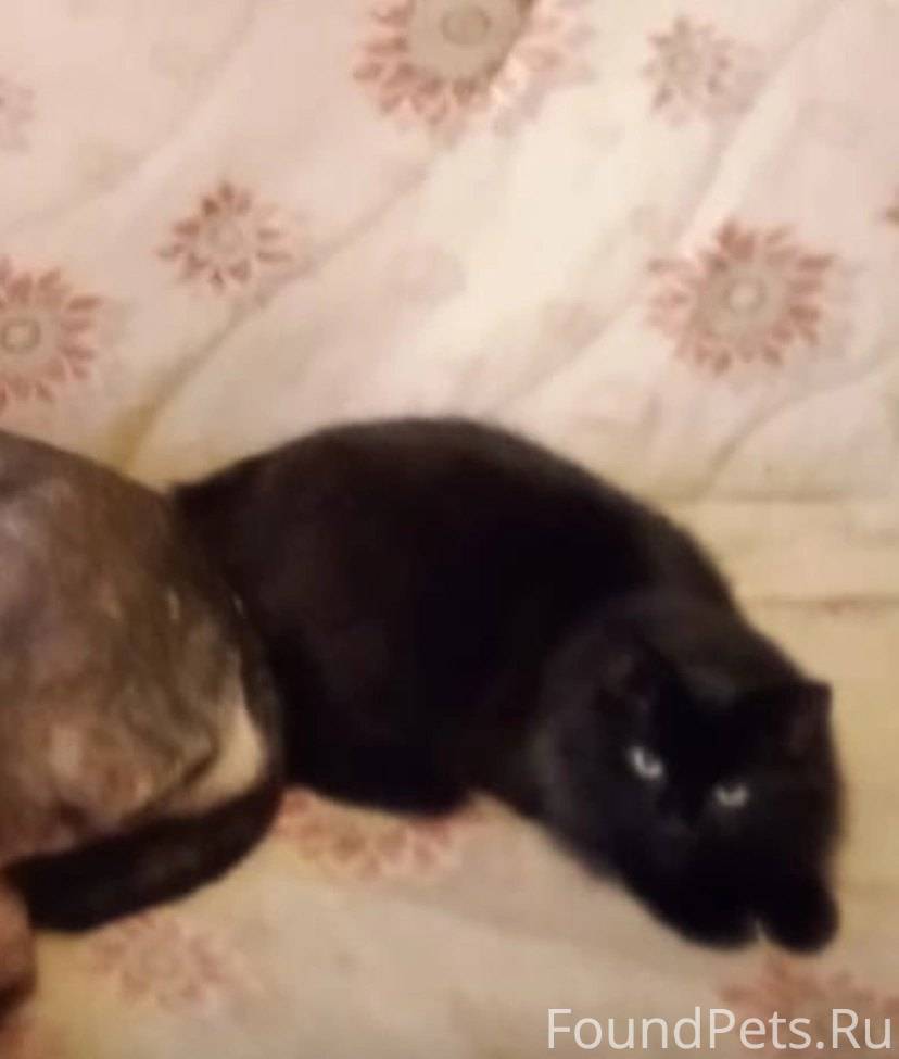 !!! ПОМОГИТЕ НАЙТИ !!! Оренбур...