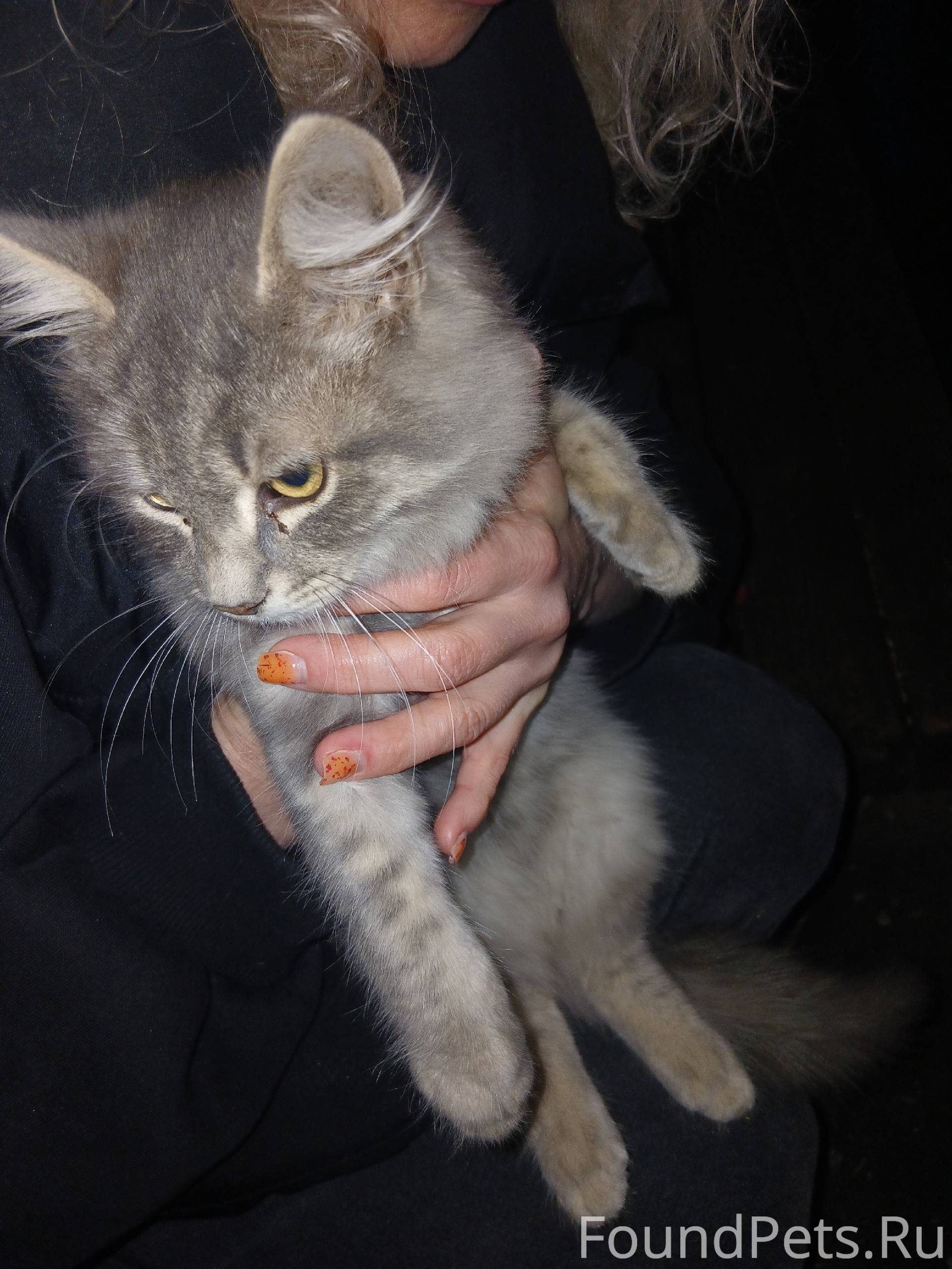 Симферополь, 60 лет Октября, н...