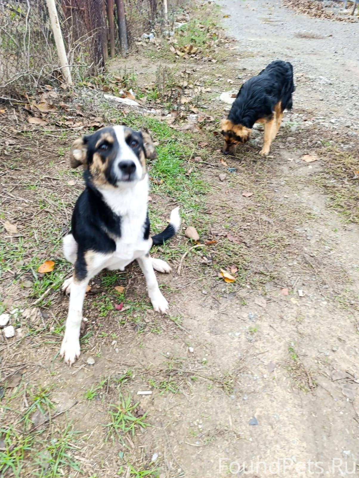 Я всегда надеюсь на лучшее. Во...