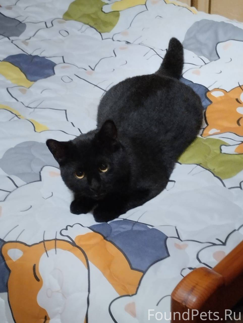 В начале сентября был найден м...