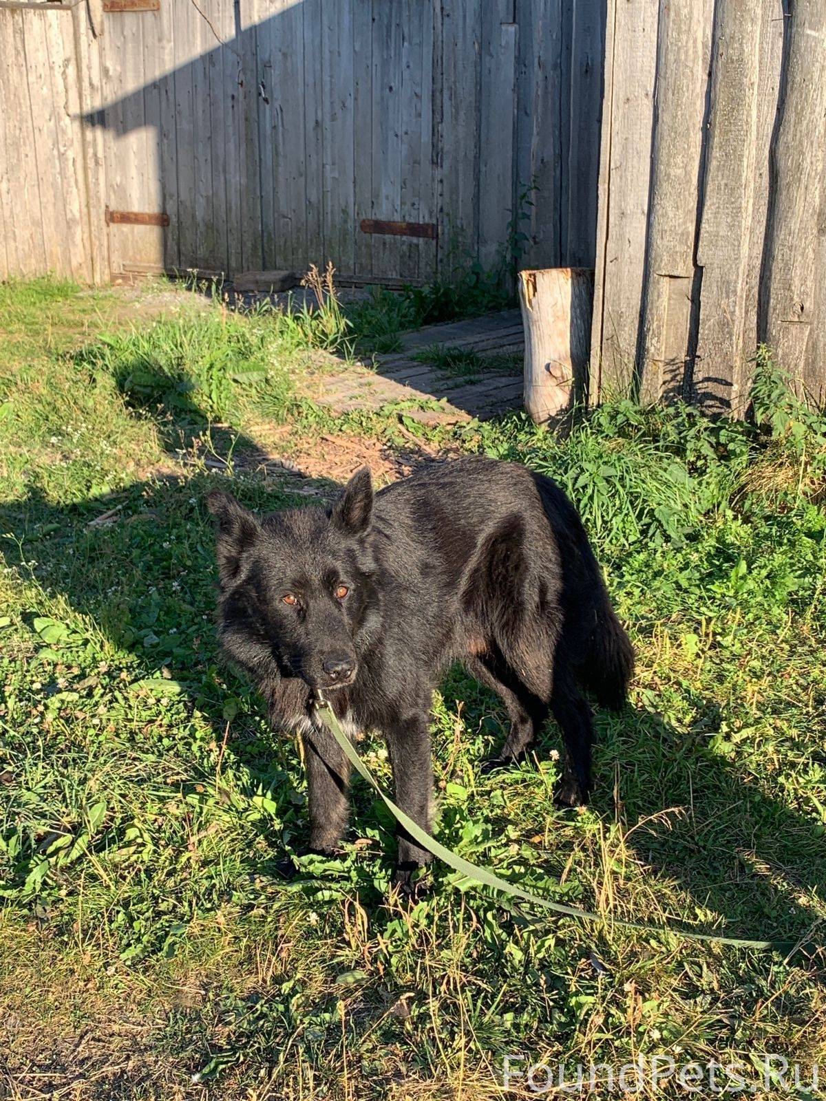В п. Пукса Плесецкого района п...