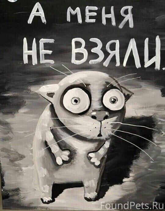 Екатеринбург‼️.‼️ Срочно ‼️‼️ ...