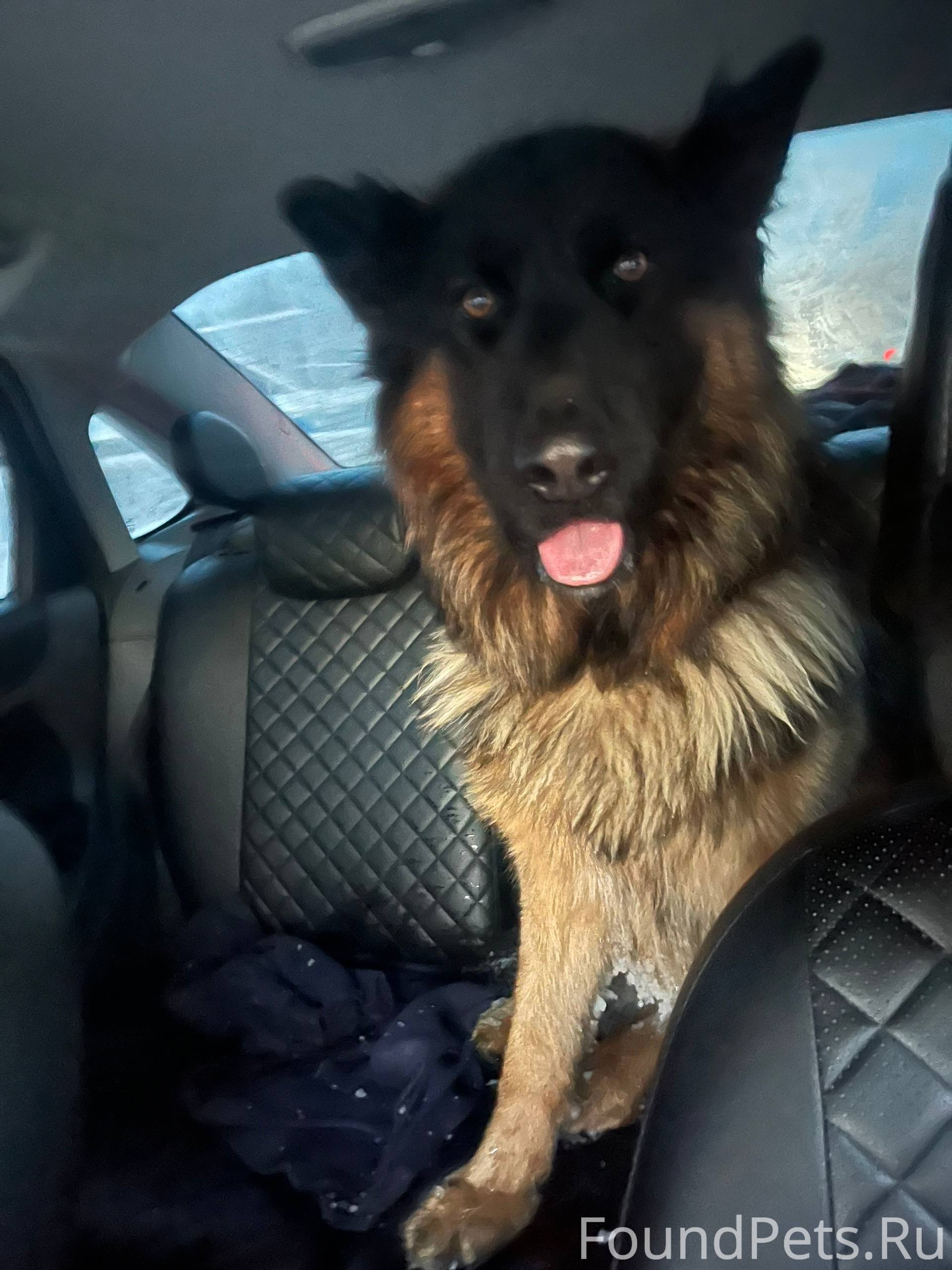 Недалеко от притомского была н...