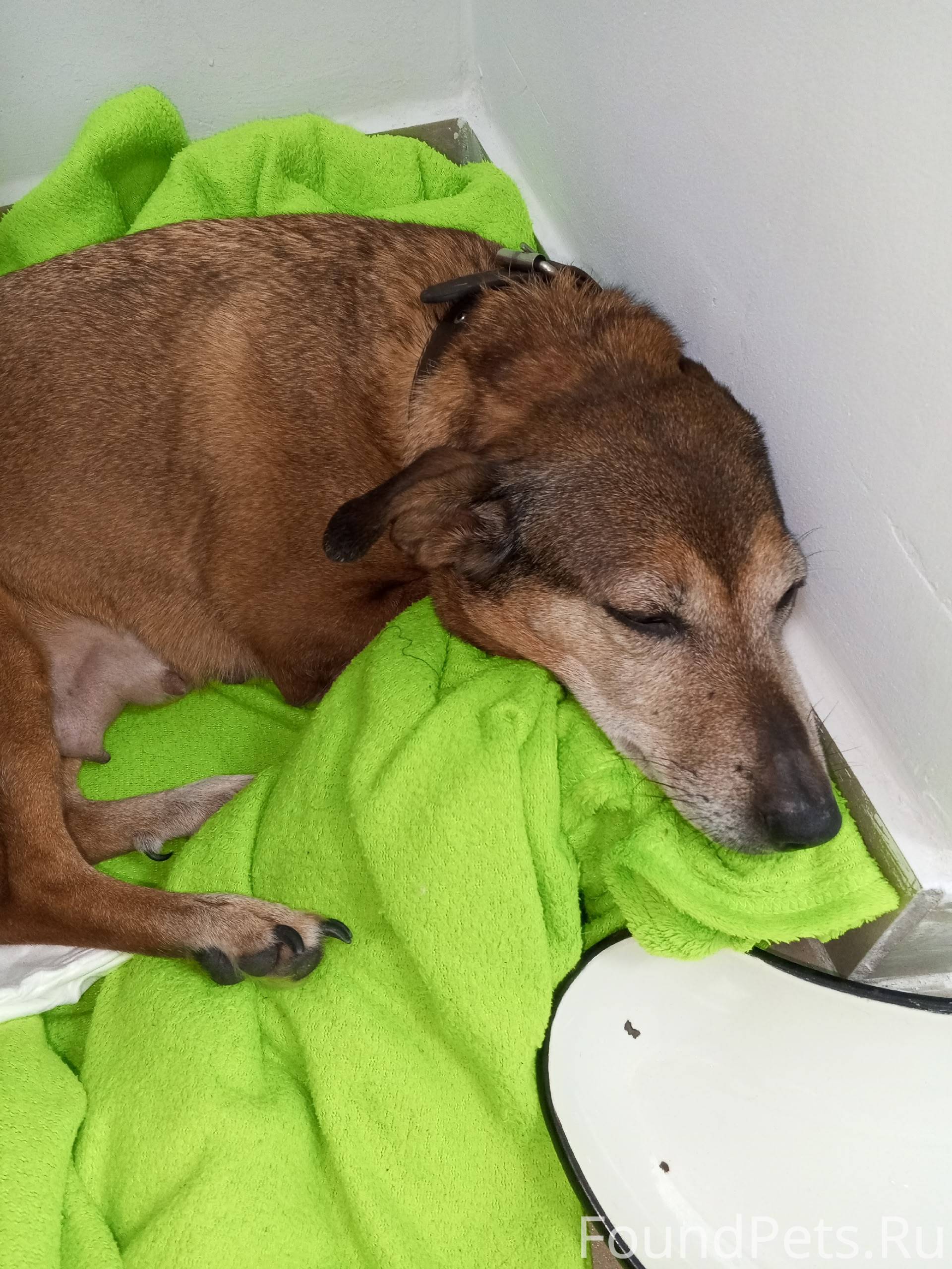 Вчера у магазина Пятёрочка по ...