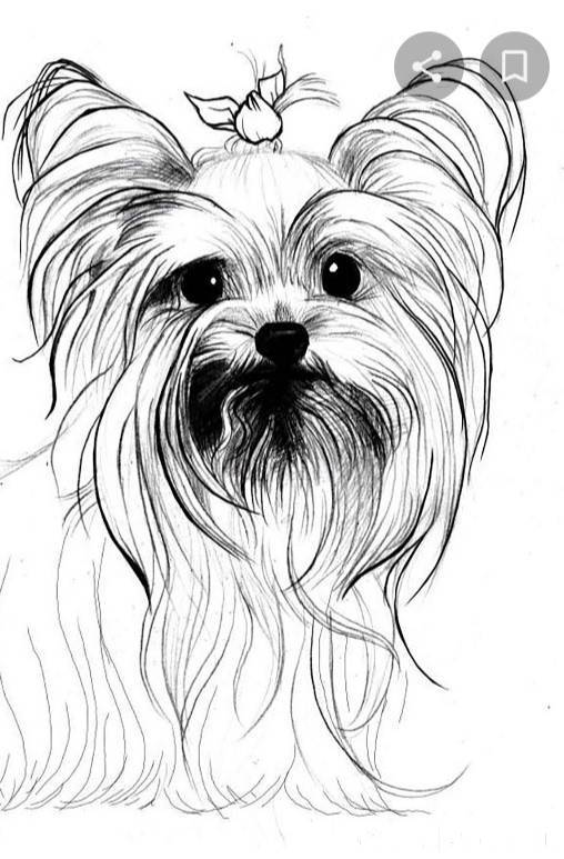 Мурманск. Кто потерял? [id6521...