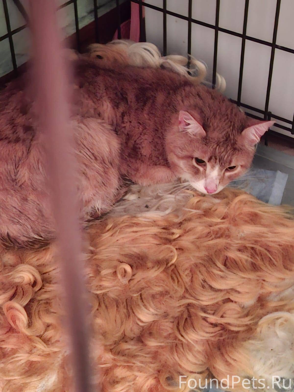 Г. Березники. район ул. К. Мар...