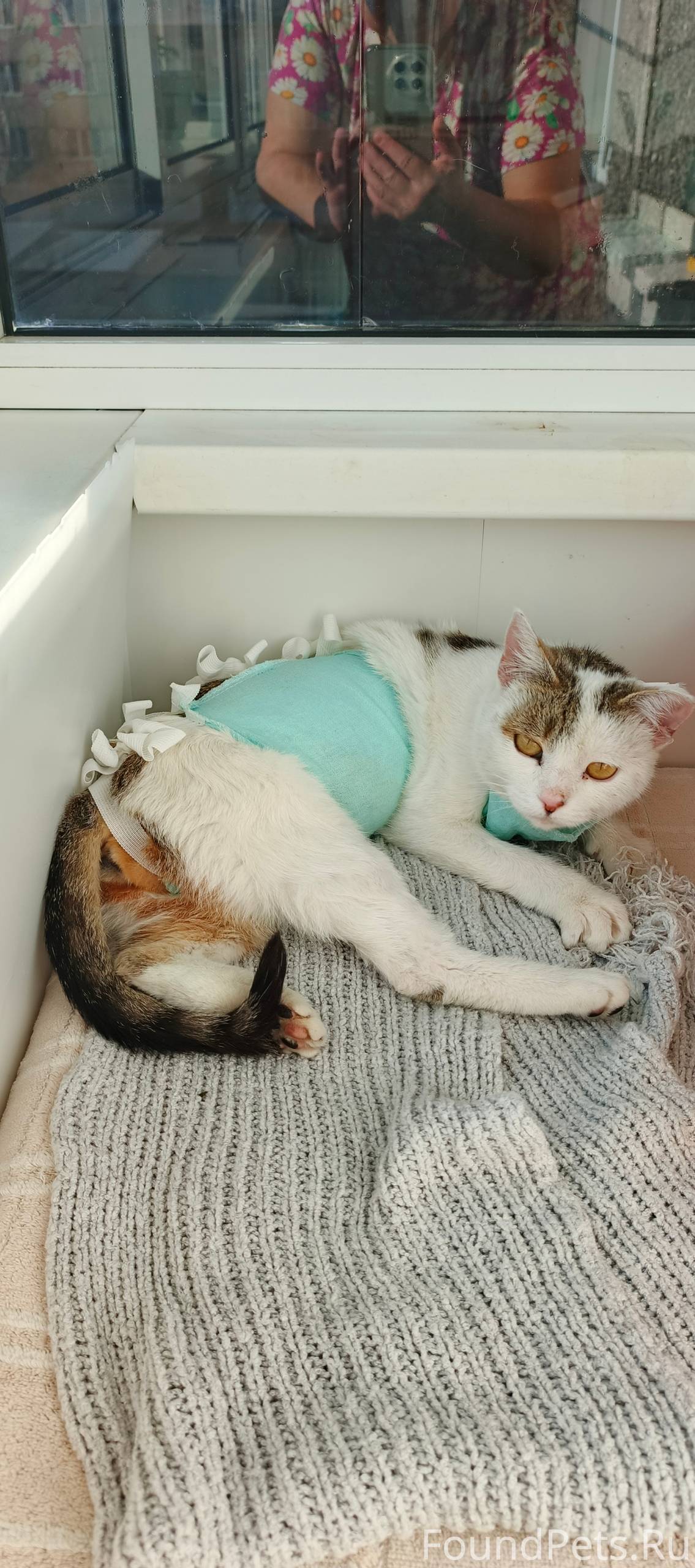 Добрый день, всем. В добрые по...