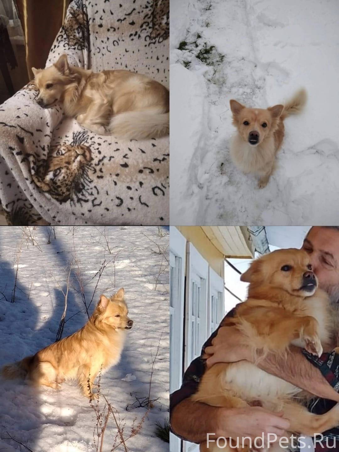 Пожалуйста выложите ещё раз по...