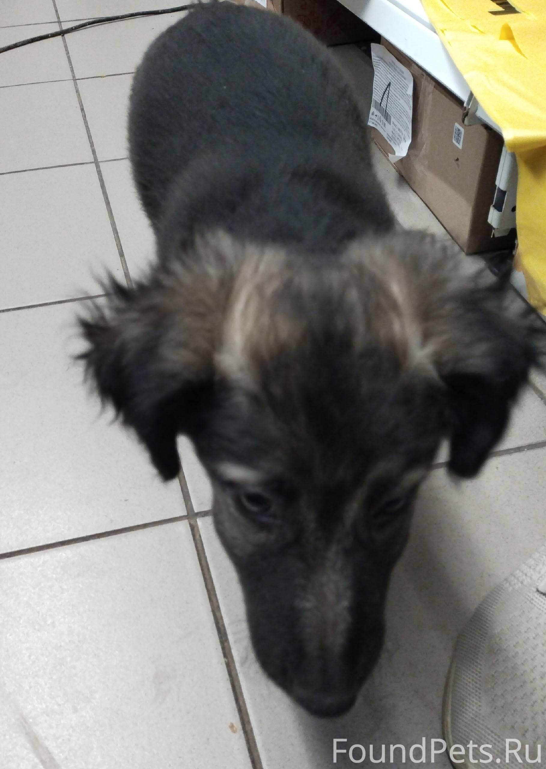 Помогаю информационно. На ост....