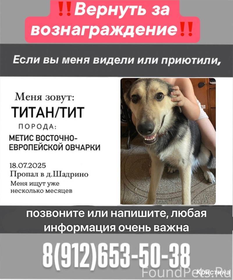 Всем доброго времени суток! В ...