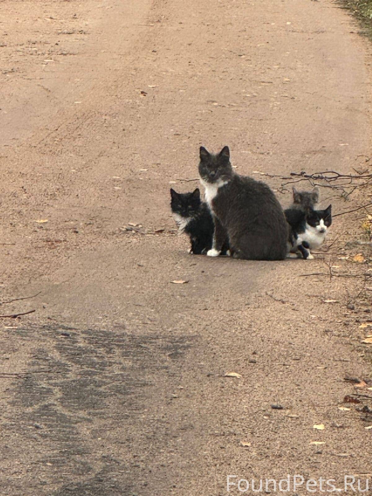 Продолжение истории... ⚠️⚠️⚠️ ...