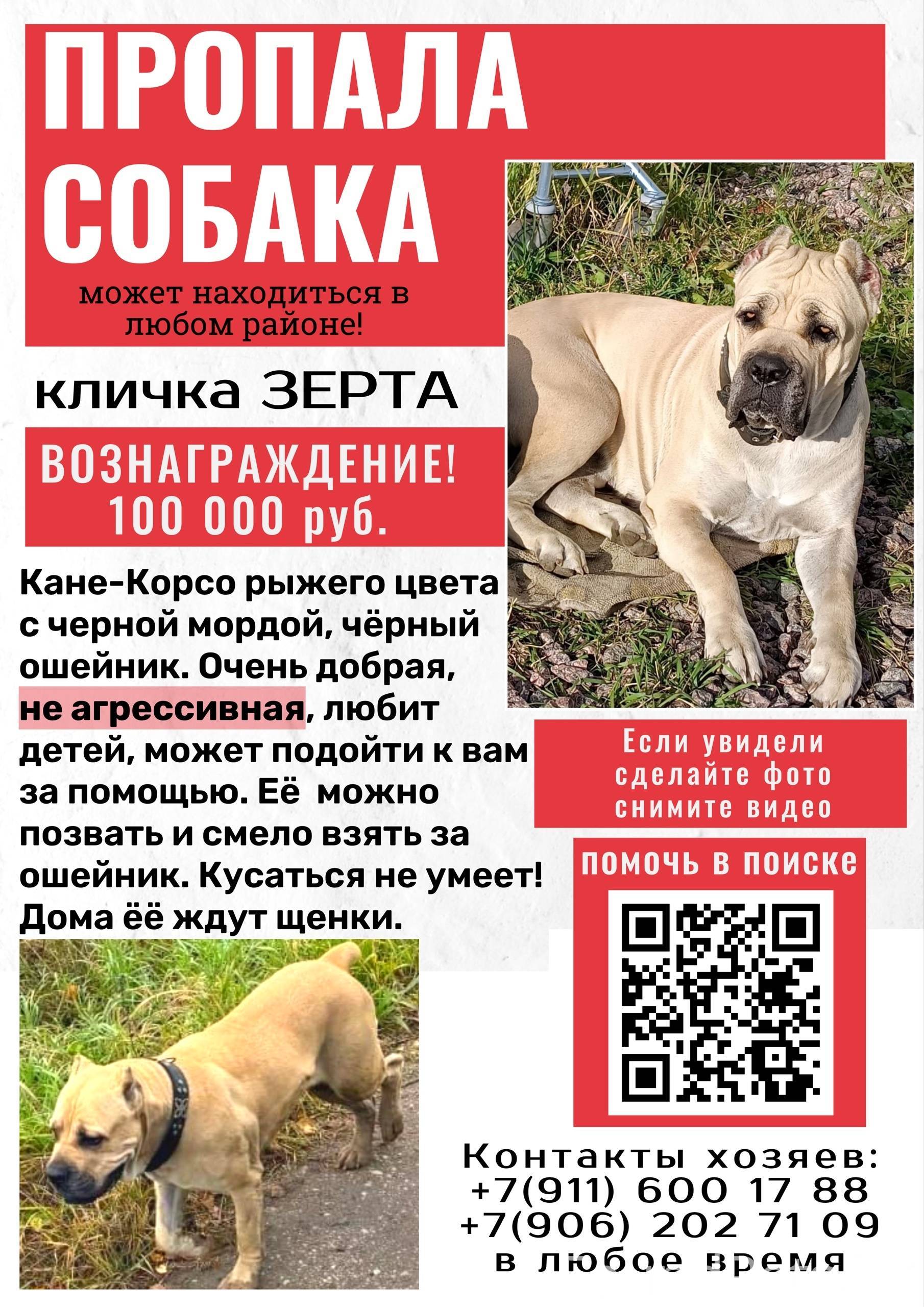 ❗️❗️❗️г. Великий Новгород ❗️❗️...