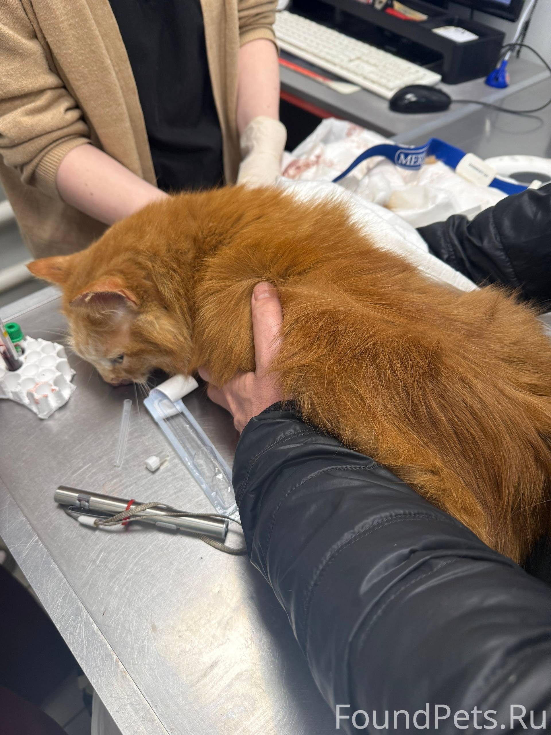 ‼В️чера в Котовске найден сбит...