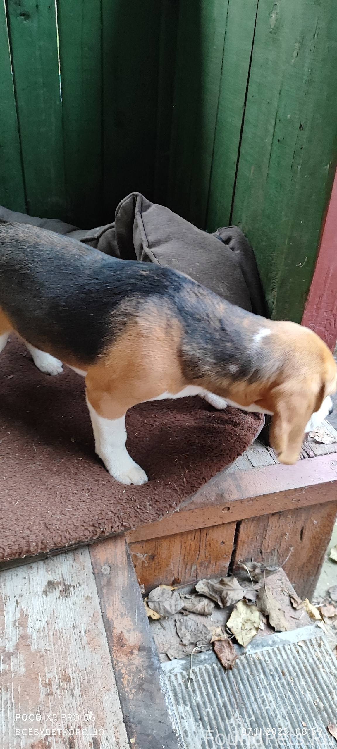 Доброго времени суток!!! Нам п...