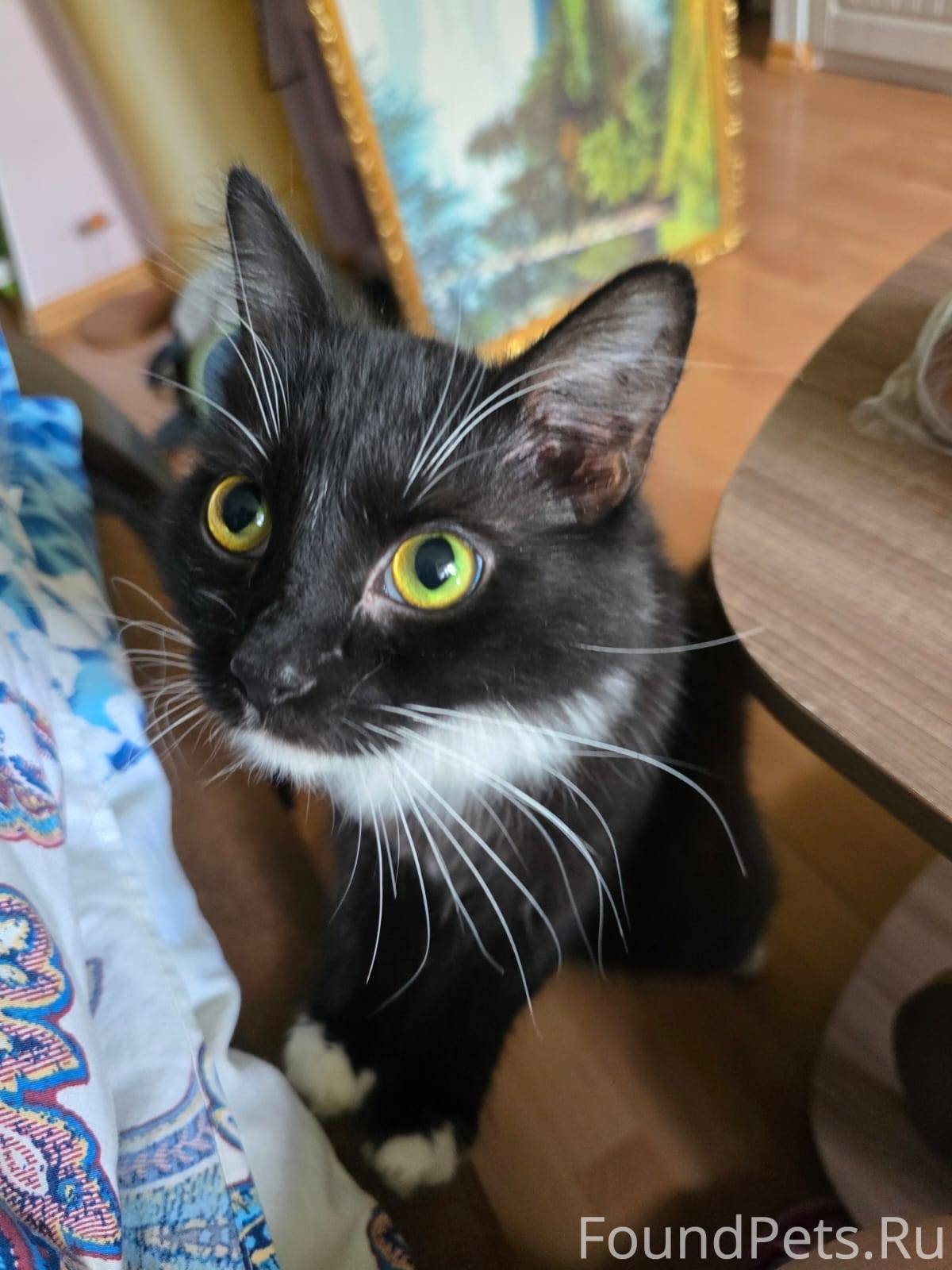 ❗️🆘️08.11.2025 рано утром ПРОП...