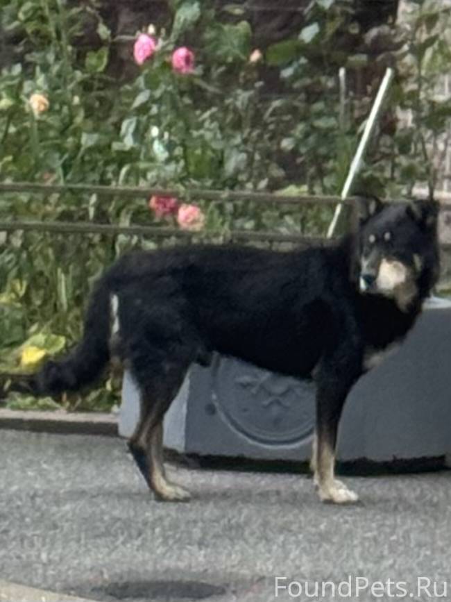 Найден кабель в районе ЮНОНЫ