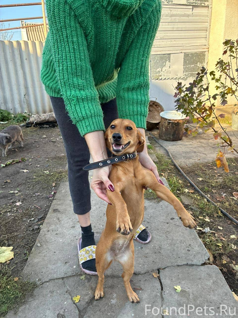 Ростов-на-Дону и РО. Срочно...