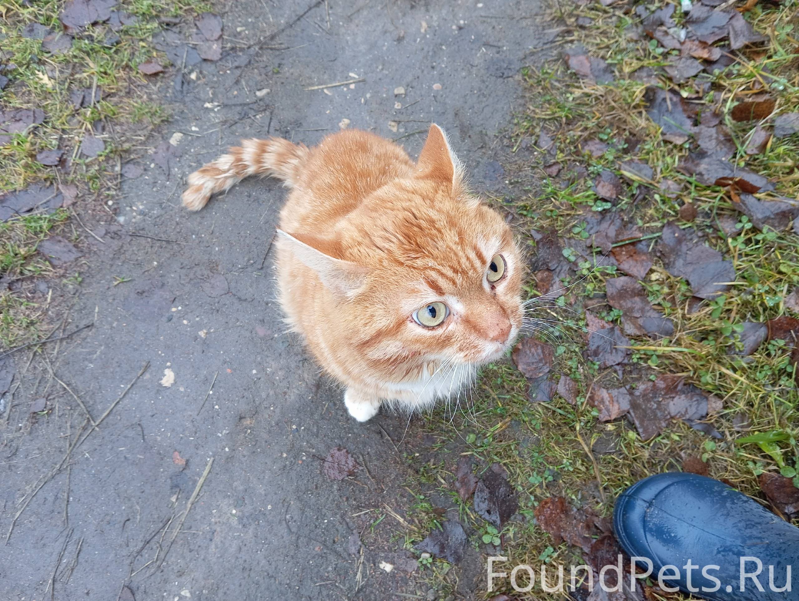 Здравствуйте, искала свою проп...