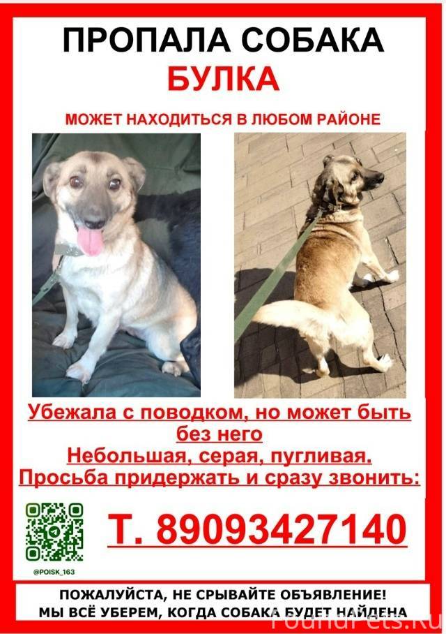 Булка не найдена (( надежды ма...