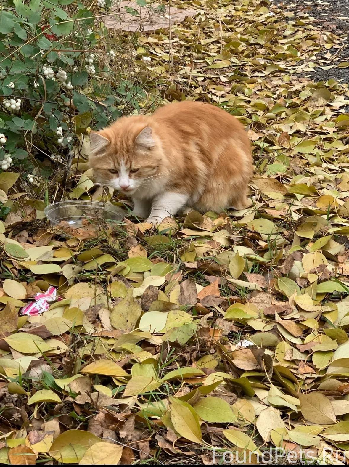 Добрый день!Может быть кто-то....