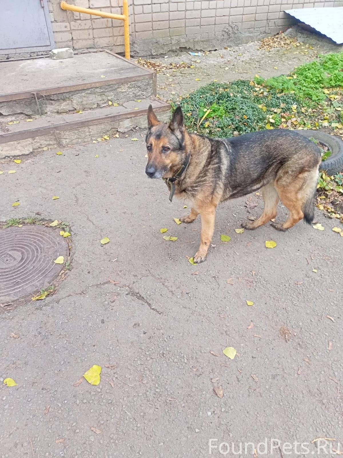 Срочно! В районе 24 школы появ...