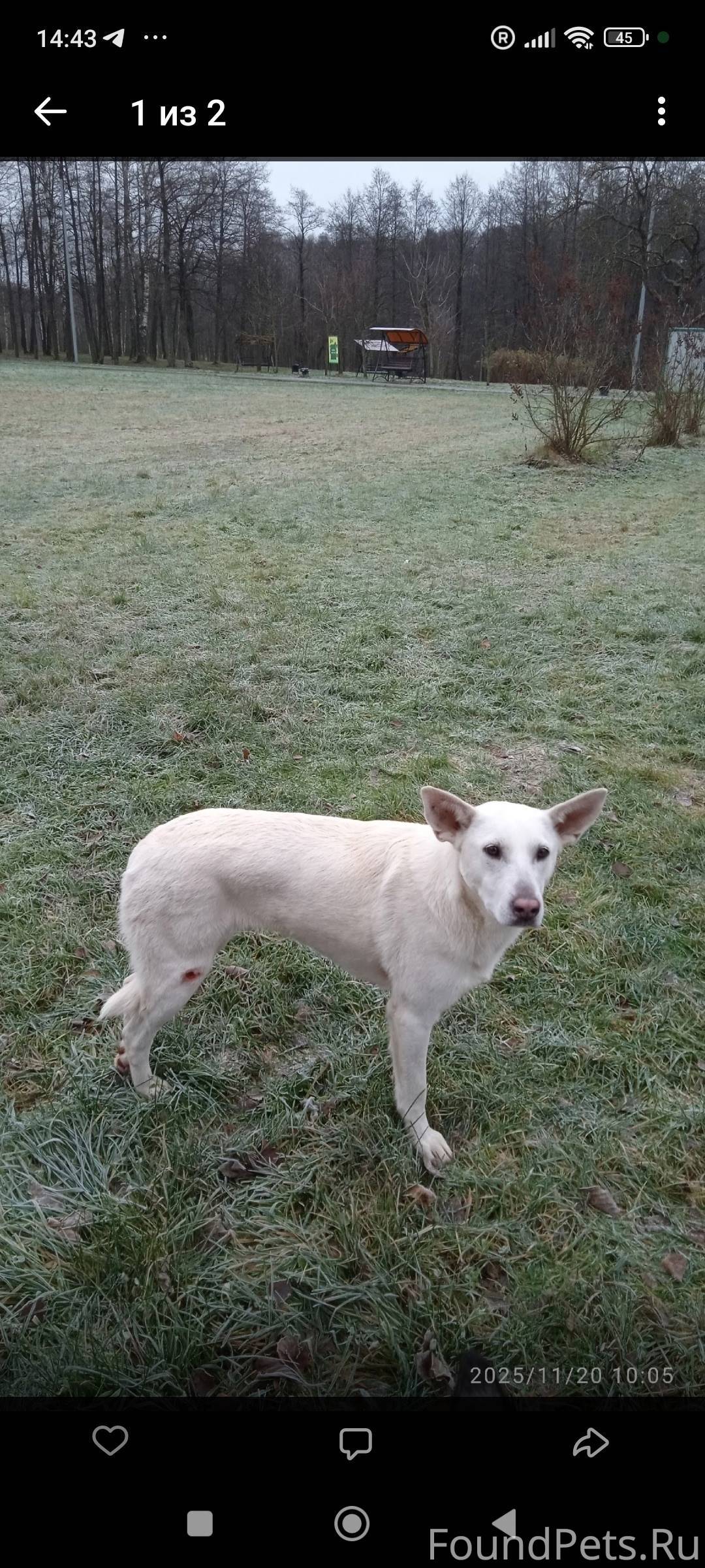 📣 Егорьевск МО 📣 📣 Друзья...