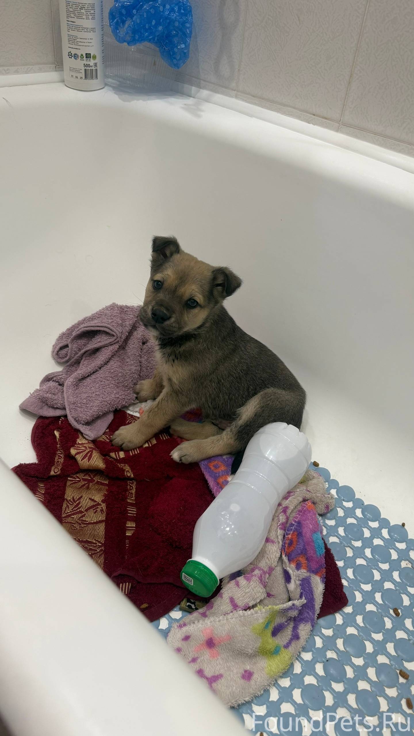 Коломна, ул. Проспект Кирова 8...