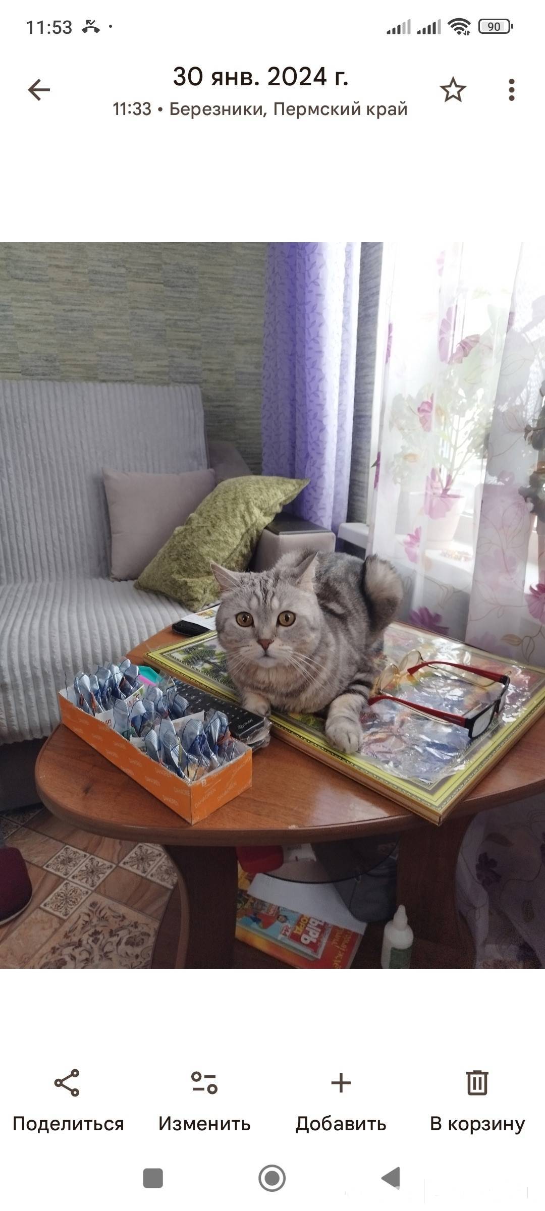 Пропал наш любимый котик в рай...