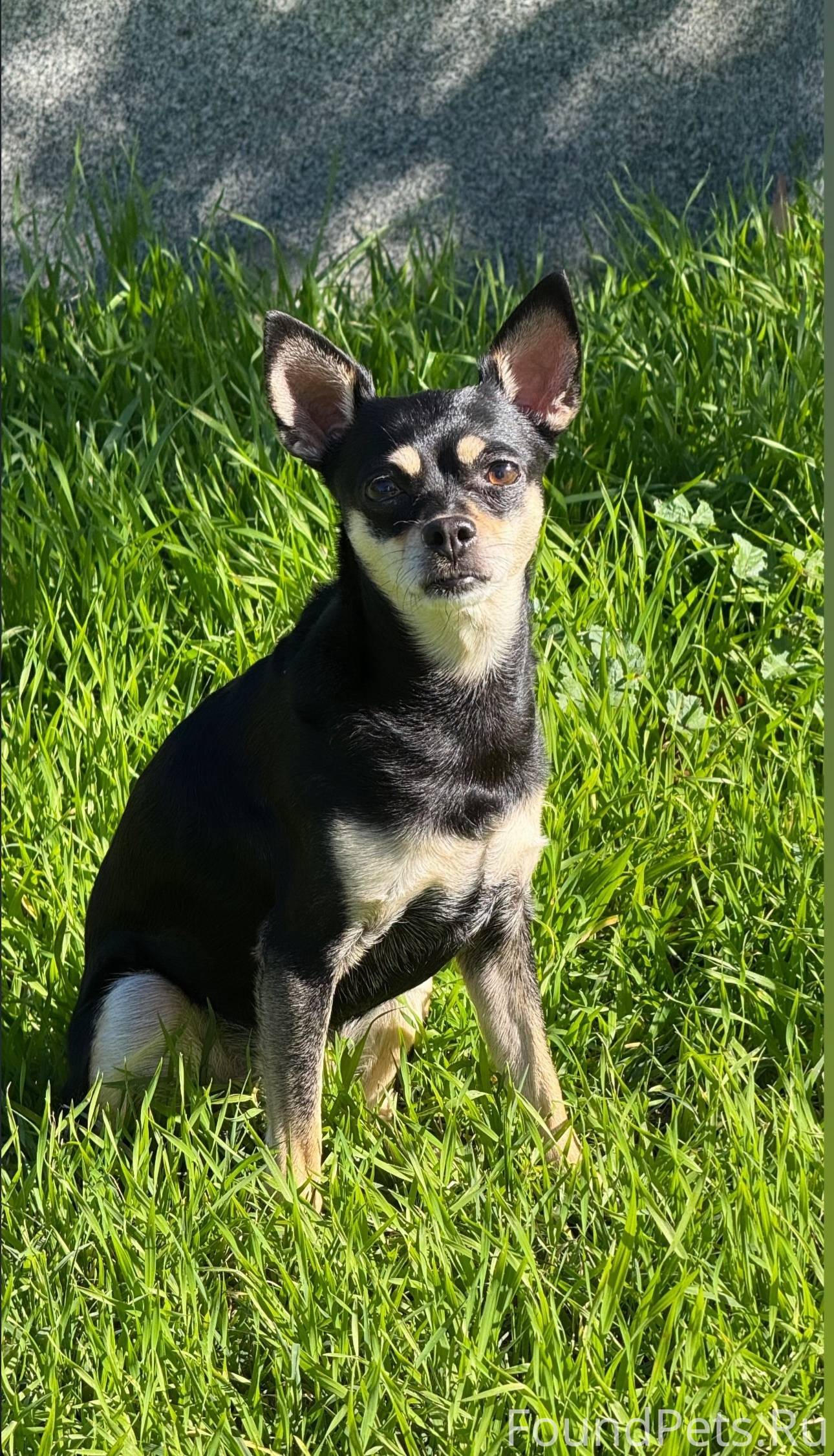 ПОМОГИТЕ НАЙТИ🙏🏻💔😭😭😭 Друзья, я...