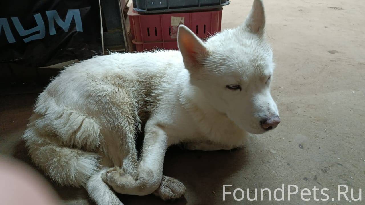 10.12.2025 13:42 На...