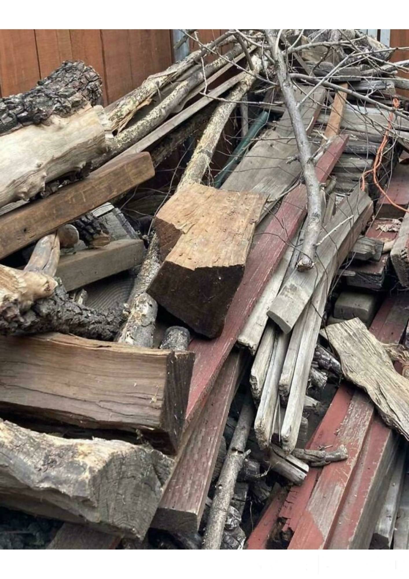 Найдите Кота.